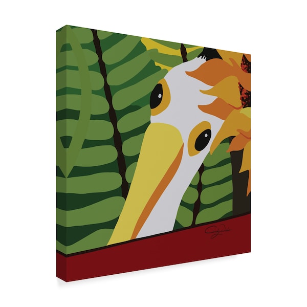 Cindy Wider 'Peeping Pelican' Canvas Art,35x35